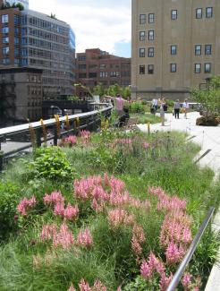 New York's latest sight "High Line" emerged from the abandoned freight rail line – thanks to ZinCo green roof systems. The High Line, New York